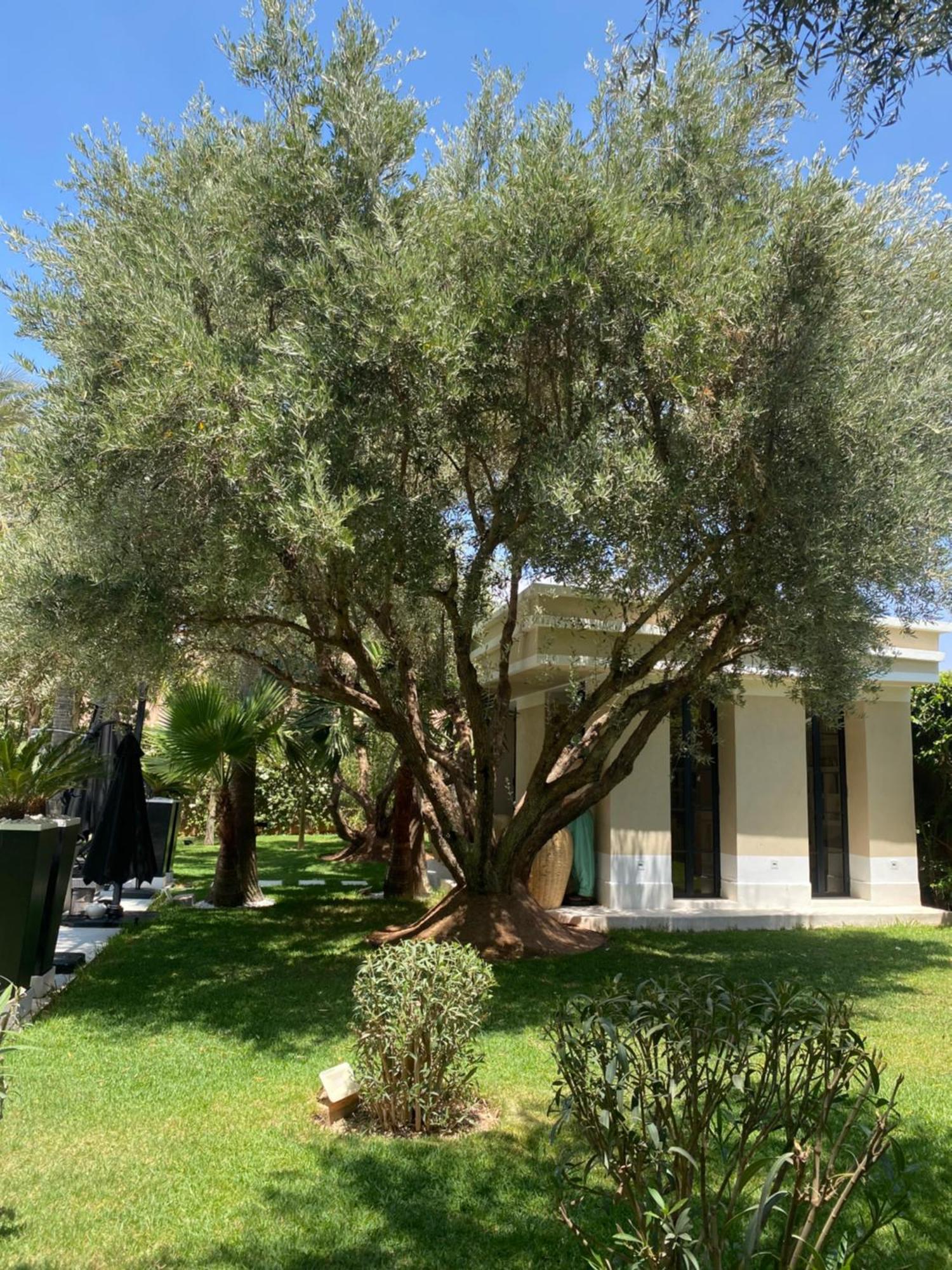 Villa Mano Lagouassem Esterno foto